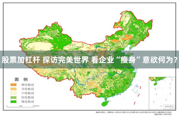 股票加杠杆 探访完美世界 看企业“瘦身”意欲何为？