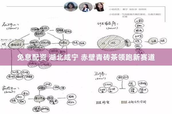 免息配资 湖北咸宁 赤壁青砖茶领跑新赛道