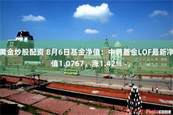 黄金炒股配资 8月6日基金净值：中药基金LOF最新净值1.0767，涨1.42%