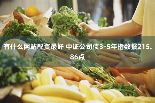 有什么网站配资最好 中证公司债3-5年指数报215.86点