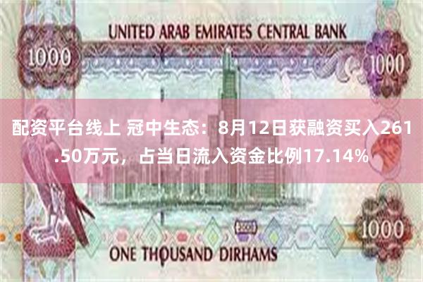 配资平台线上 冠中生态：8月12日获融资买入261.50万元，占当日流入资金比例17.14%