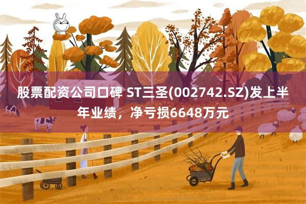 股票配资公司口碑 ST三圣(002742.SZ)发上半年业绩，净亏损6648万元