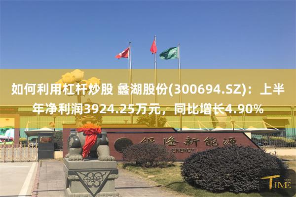 如何利用杠杆炒股 蠡湖股份(300694.SZ)：上半年净利润3924.25万元，同比增长4.90%