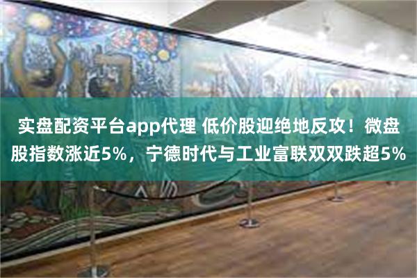 实盘配资平台app代理 低价股迎绝地反攻！微盘股指数涨近5%，宁德时代与工业富联双双跌超5%