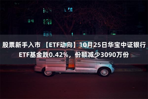 股票新手入市 【ETF动向】10月25日华宝中证银行ETF基金跌0.42%，份额减少3090万份