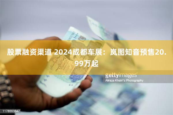 股票融资渠道 2024成都车展：岚图知音预售20.99万起