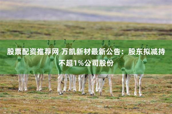 股票配资推荐网 万凯新材最新公告：股东拟减持不超1%公司股份