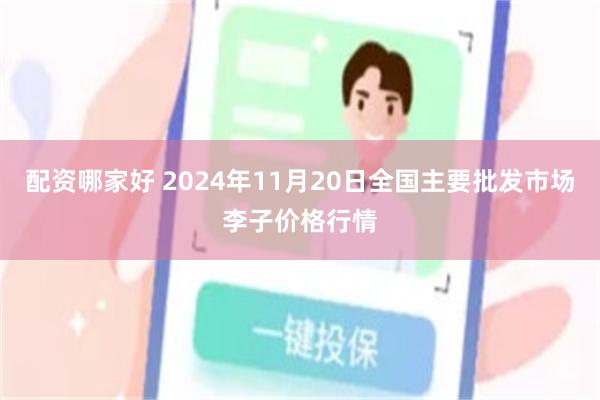 配资哪家好 2024年11月20日全国主要批发市场李子价格行情