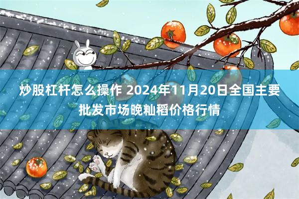 炒股杠杆怎么操作 2024年11月20日全国主要批发市场晚籼稻价格行情