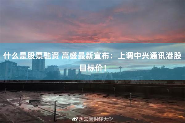 什么是股票融资 高盛最新宣布：上调中兴通讯港股目标价！