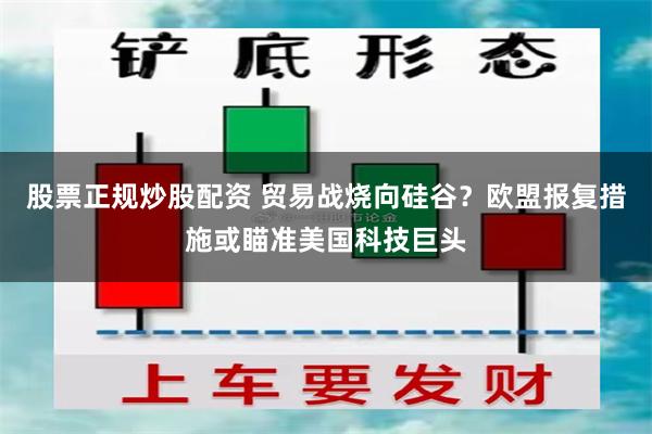 股票正规炒股配资 贸易战烧向硅谷？欧盟报复措施或瞄准美国科技巨头